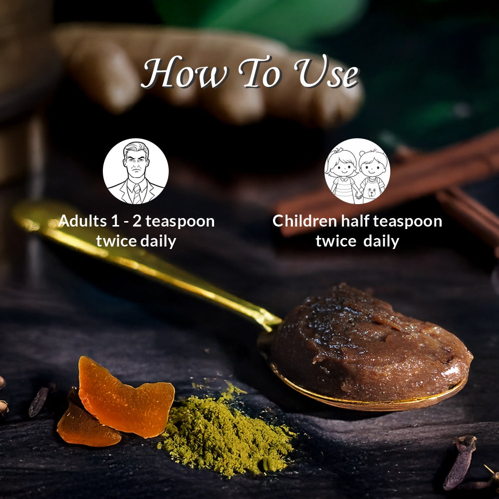 Axiom Royal Ayurvedic Chyawanprash 2x Immunity Booster