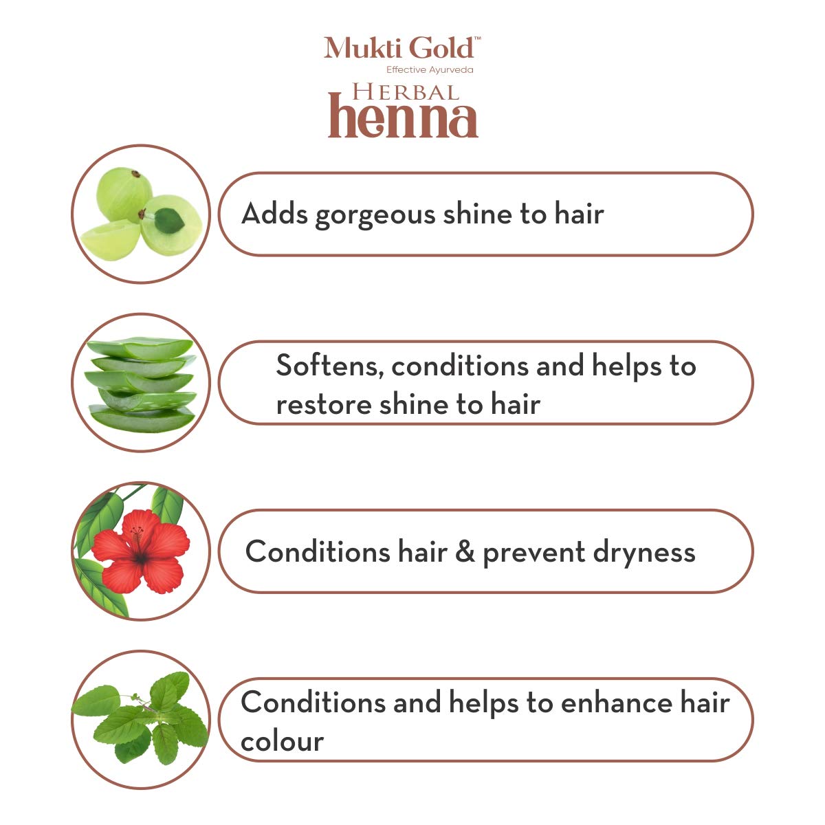 Axiom Mukti Gold Herbal Heena Dark Brown With Aloevera 10 grms Pack of 24