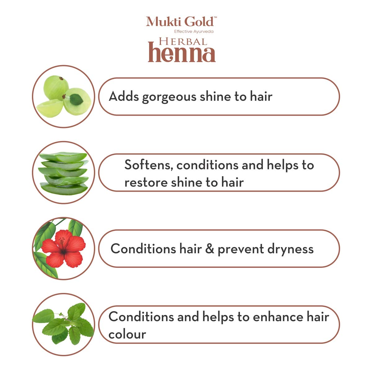 Axiom Mukti Gold Combo of Herbal Hairwash 400ml (Pack of 1) (Dispenser) & Herbal Heena Dark brown 10g With Aloevera Pack of 12