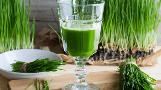 7 Health Benefits of Wheatgrass Giloy Stem Juice