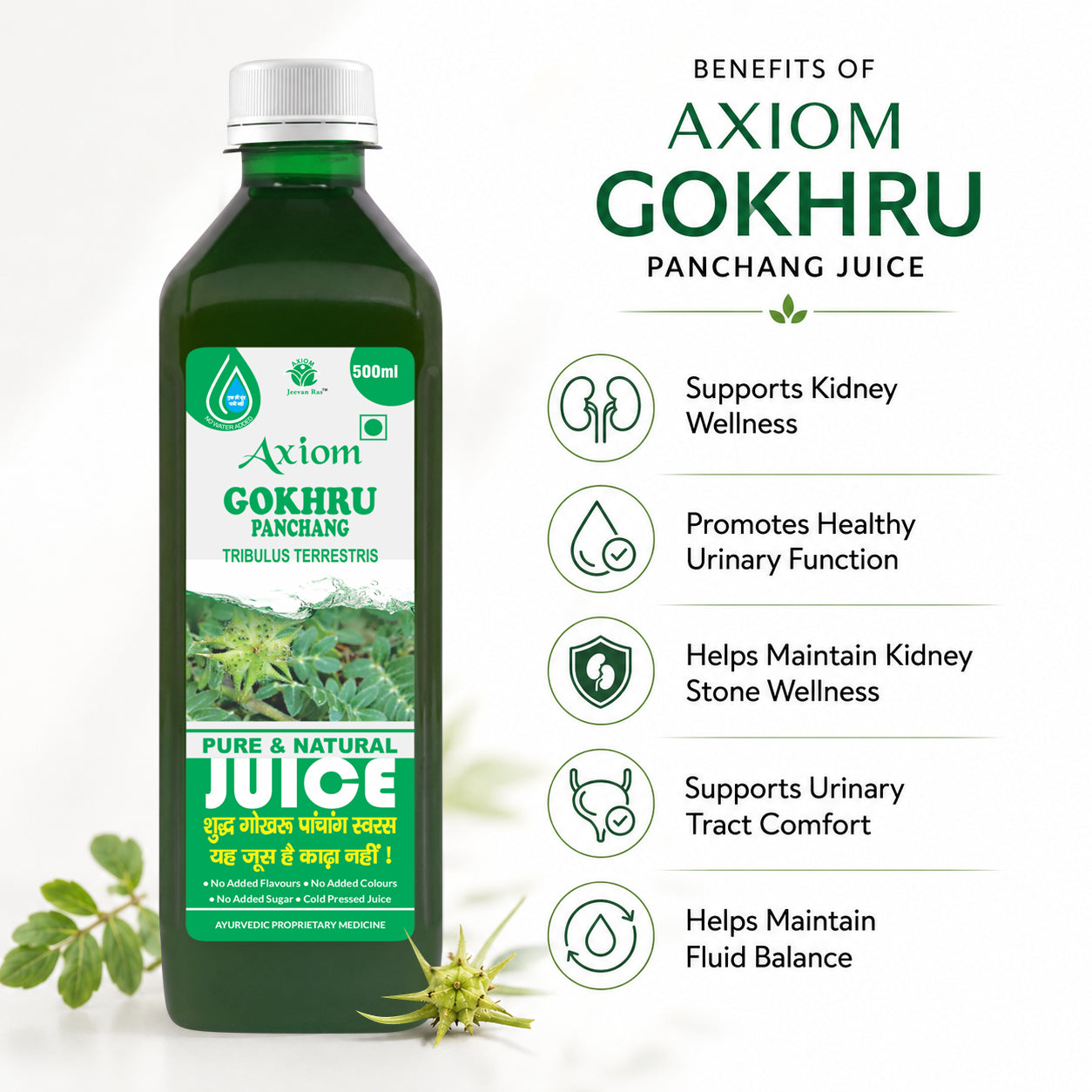 Axiom Jeevan Ras Gokhru Panchang Juice - 500ML