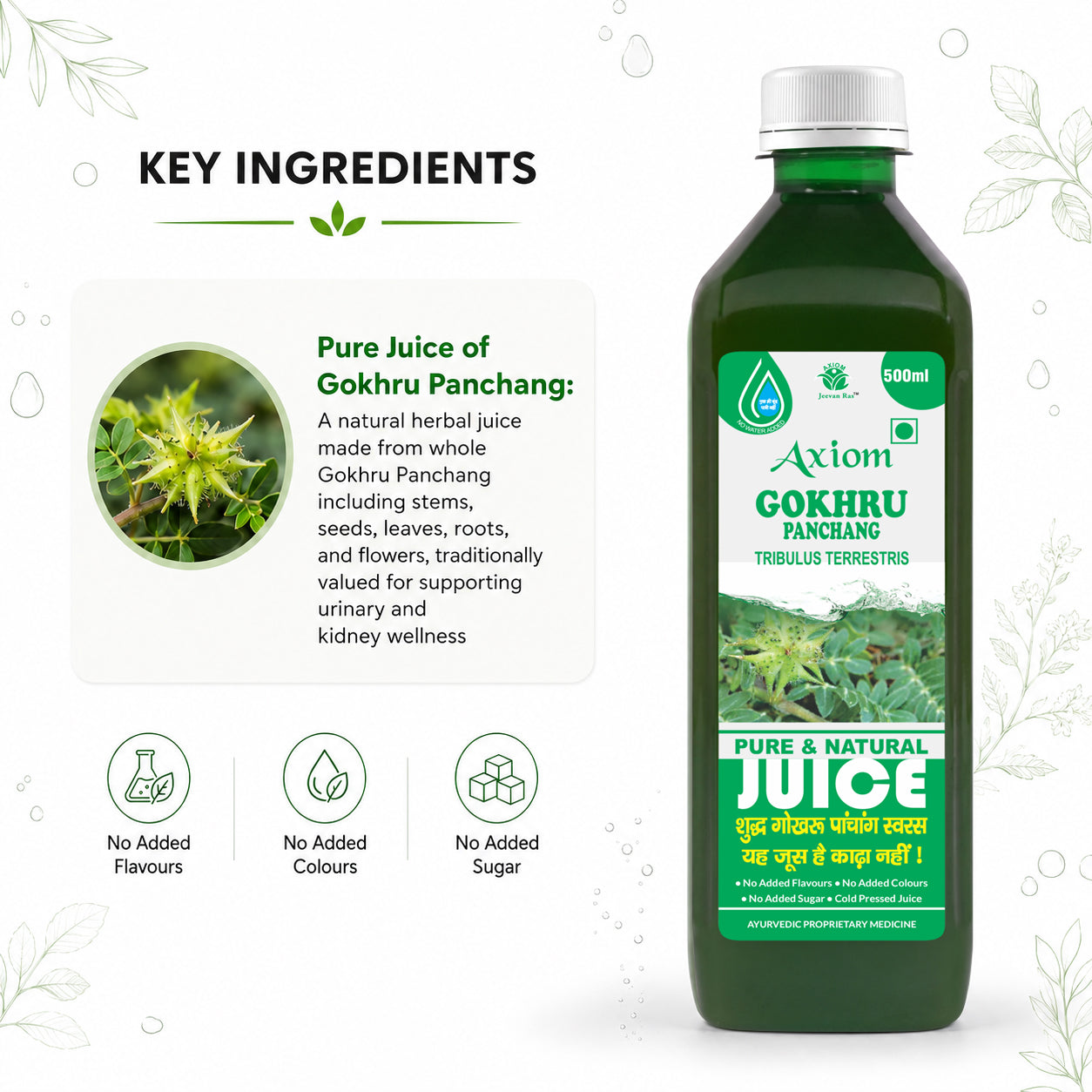 Axiom Jeevan Ras Gokhru Panchang Juice - 500ML