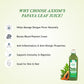 Papaya Leaf Juice 500ml Pack of (2)
