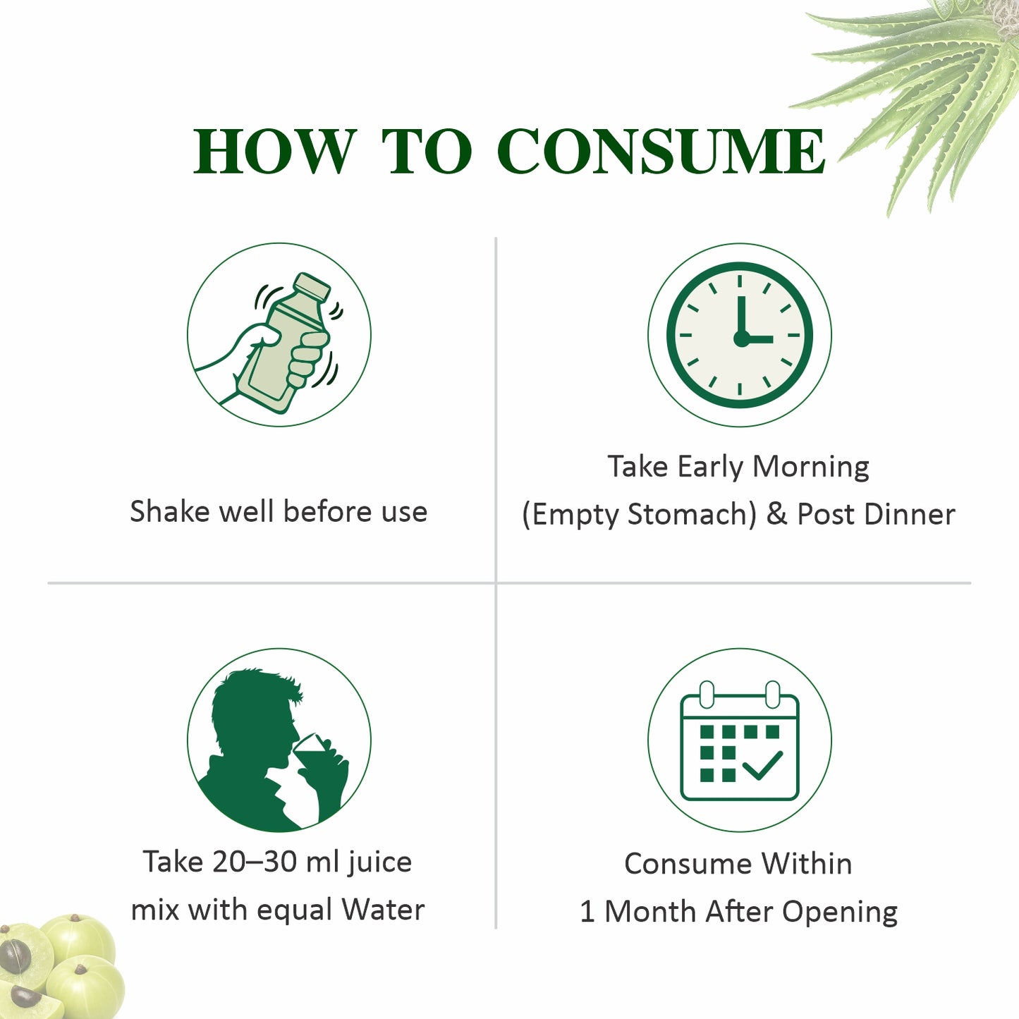 Axiom Jeevan Ras Aloevera Amla Juice