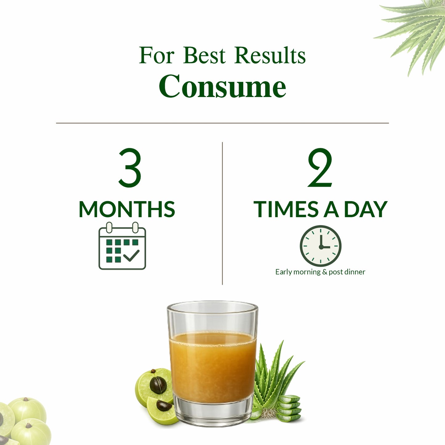 Axiom Jeevan Ras Aloevera Amla Juice