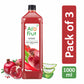 Alo Frut Anaar Juice 1L Pack of 3