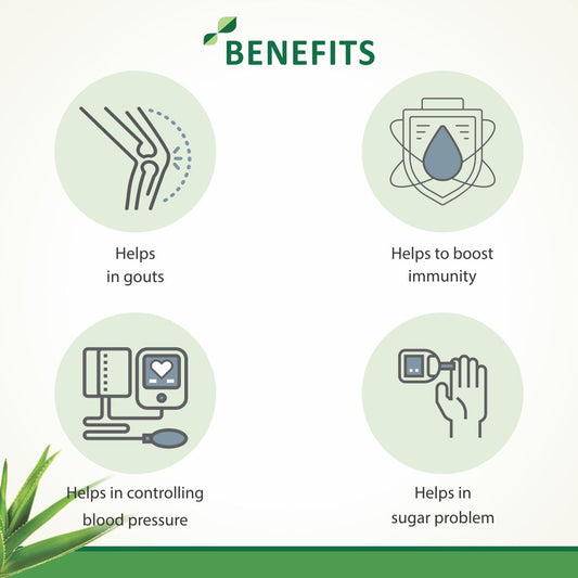 Axiom Sugar Cure and Karela Jamun Juice Combo Benefits