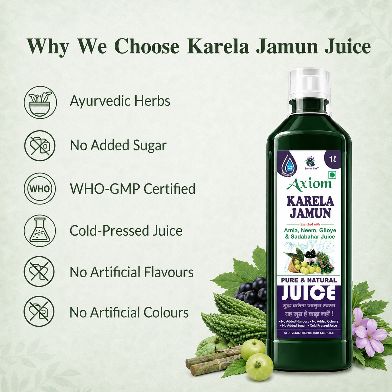 Axiom Karela Jamun Juice