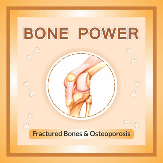Bone Power 60 Capsules  (10x6)