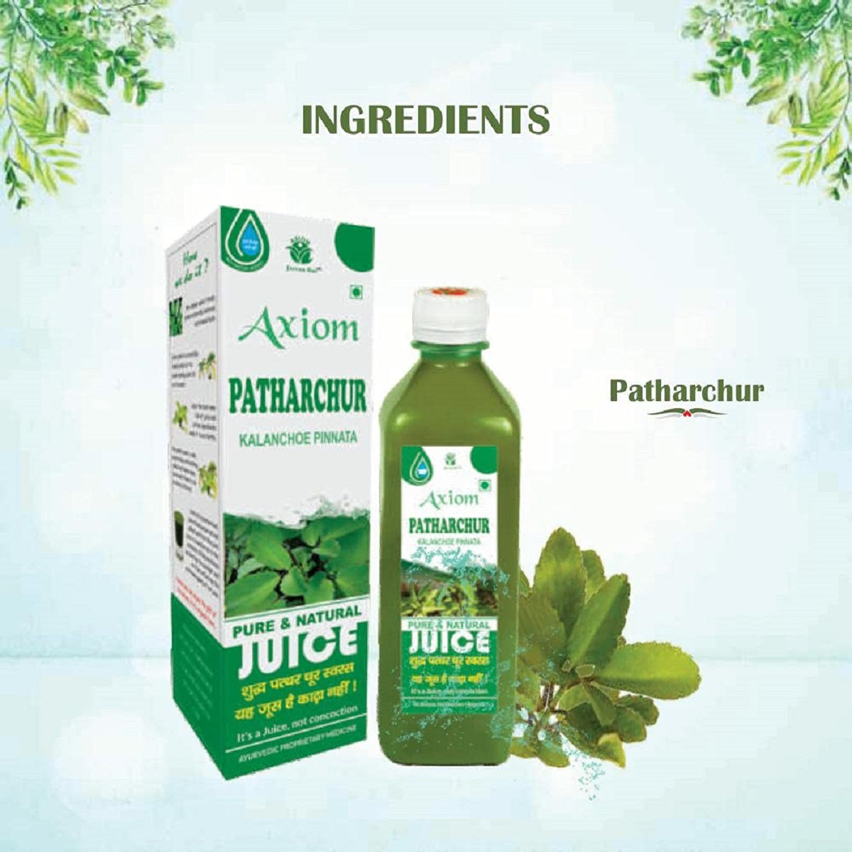 Axiom Jeevan Ras Patharchur + Gokhru + Punarnava Juice