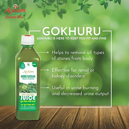 Jeevan Ras Axiom Gokhru Juice 500ml