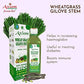 All Kind of Psoriasis Disease Combo (Sehund Tailam 100ml+ Neem Leaf Juice 500ml + Satyanashi Juice 500ml + Wheat Grass Giloye Stem Juice 1000ml + Makoye Juice 500ml)