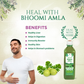 Wheat Allergy Food Allergy Combo (Bhoomi Amla Juice 500ml + Chhoti Dudhi Juice 500ml + Nirgundi Juice 500ml)