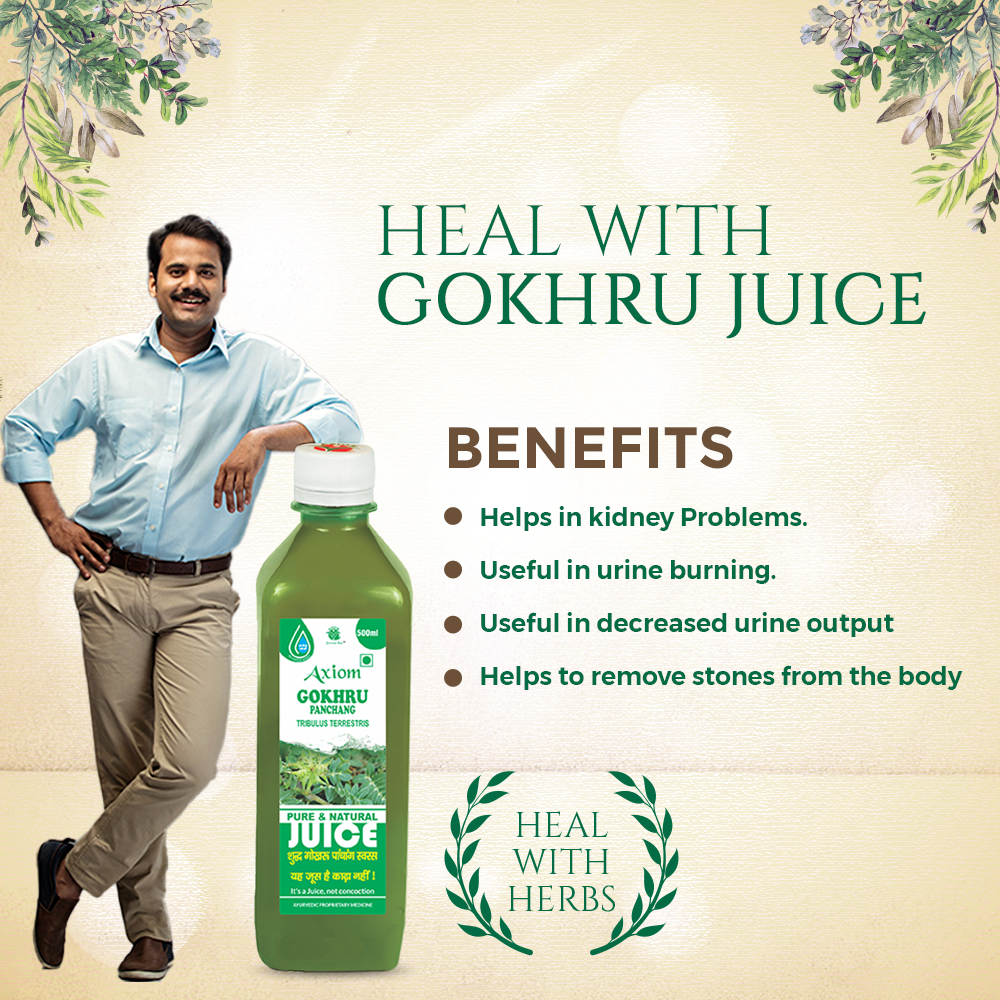 Axiom Jeevan Ras Patharchur + Gokhru + Punarnava Juice